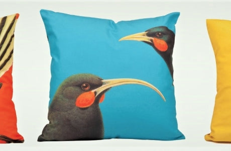 Cushion Cover Bright NZ Birds Range